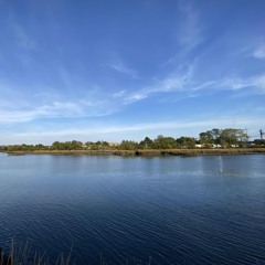 SHEOPENHERLEGSTHATSULTRALIGHTBEAM feat. ITSDOMOAGAIN