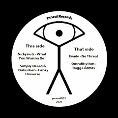 Evade - No Threat (Out now at pinealrecords.bandcamp.com)