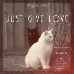 PREMIÈRE: Tayr Anour & RAiK - Just give Love (Polymer Remix)