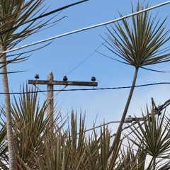 Remedy of my broken heart (prod. idly blare)