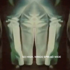 So High, (Wings Spread Wide)