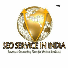 Ecommerce Seo Service India