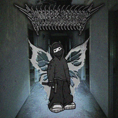 butterfly effect (radkoun)