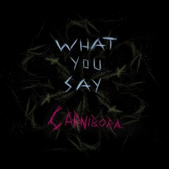 What You Say
