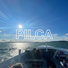 RB085 w/ Pilca