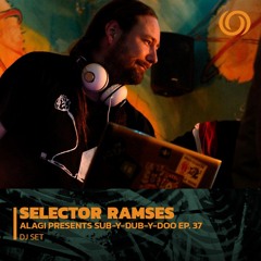 New & hot: Reggae