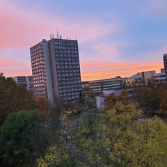 __Shollex__Vielleicht wird alles Vielleichter__