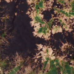 roade piano lens 555.wav