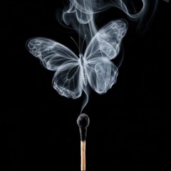 Butterfly Dreams