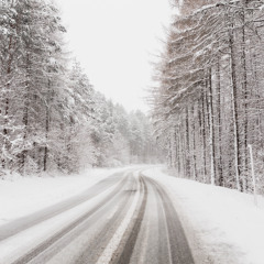 Late Winter Mix