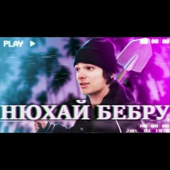 НЮХАЙ БЕБРУ (PHONK REMIX)
