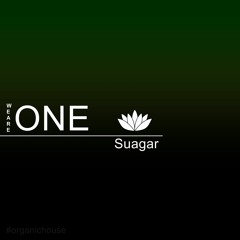 𝗪𝗲 𝗔𝗿𝗲 𝗢𝗻𝗲 - Interpretation by Suagar