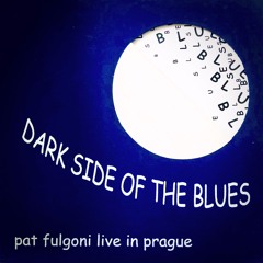 Pat Fulgoni - Texas Flood (live blues cover)