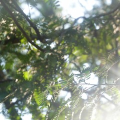 How deep is your love (Cover)