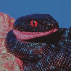 Evan Allen - Te Extraño