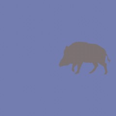 Default_05
