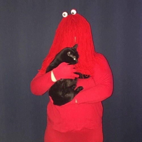 duck guy shredder song (dhmis)