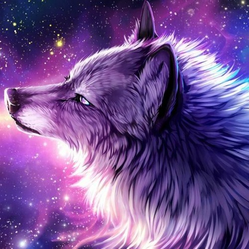 galaxy wolf
