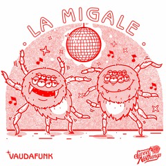 PREMIERE: VAUDAFUNK - PRIMAVERA [Sweet Nothings]