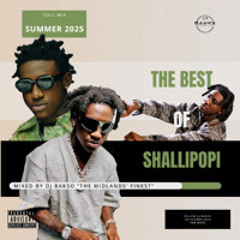 The Best of Shallipopi Mix | Cast, Puff & Pass, Laho + More | 2025 Amapiano | Afrobeats | Nigeria