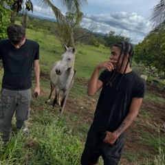 sandy cheeks (yk n mypillskillme) #AFC