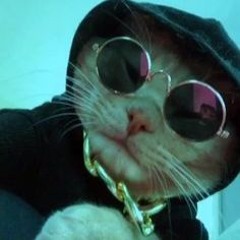 🌸1nonly🌸/lilbubblegum/Letoa/♡ilyTOMMY♡/Lil Revive/Prompto/ssjishmael/J$tyxxx/YTD/Niloc