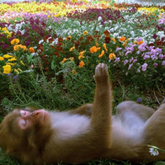 Psalm 57 KJV Psalm - first verse and chorus - demo version