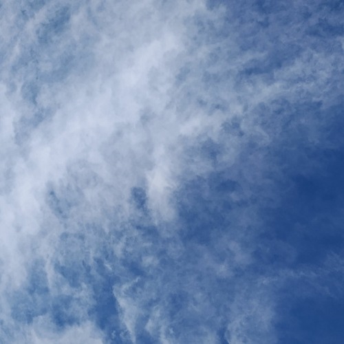 we drift like passing clouds