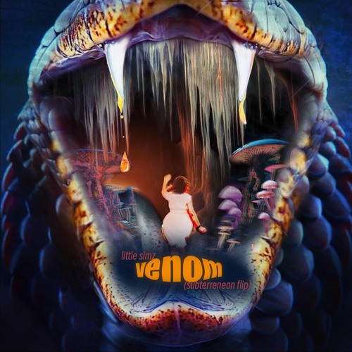 Little Simz - Venom (Subterrenean Flip)