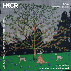 cybernetics: sound/ unsound w/ mrinal - 07/01/2025