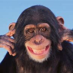 Fully_(Maks)_-_Jalousie_2[1]