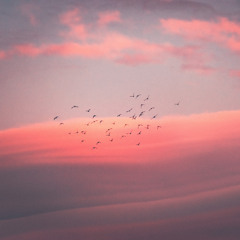 Pink Noise to Concentrate