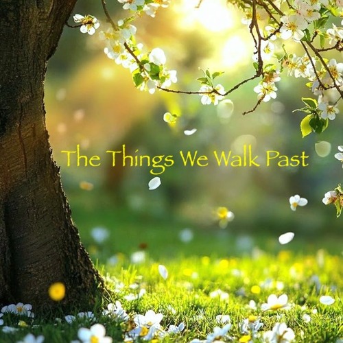 The Things We Walk Past (Rev)