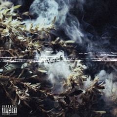 vanish (prod. sobernap)