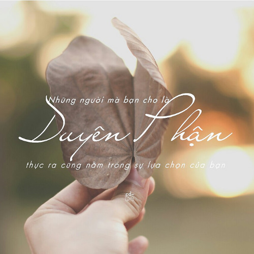 Duyên Phận ( Lệ Quyên ) - HinCoi