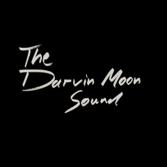 Reading Sartre In The Sunshine