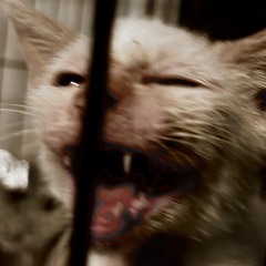 Addicted (Extended Intro)