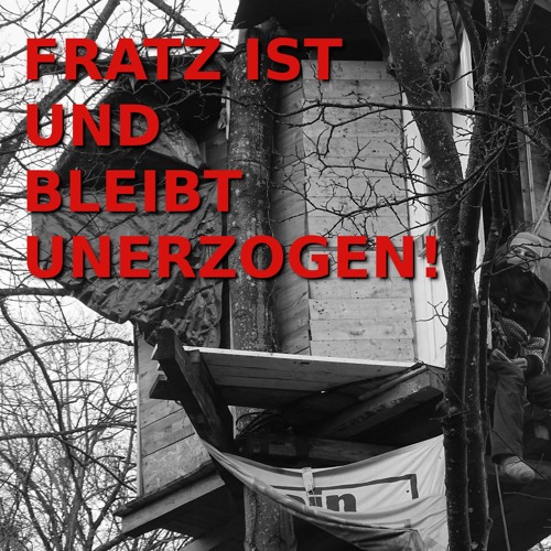 Freies Radio Fratz Interview mit FSK HH zum Antrag der FDP Flensburg