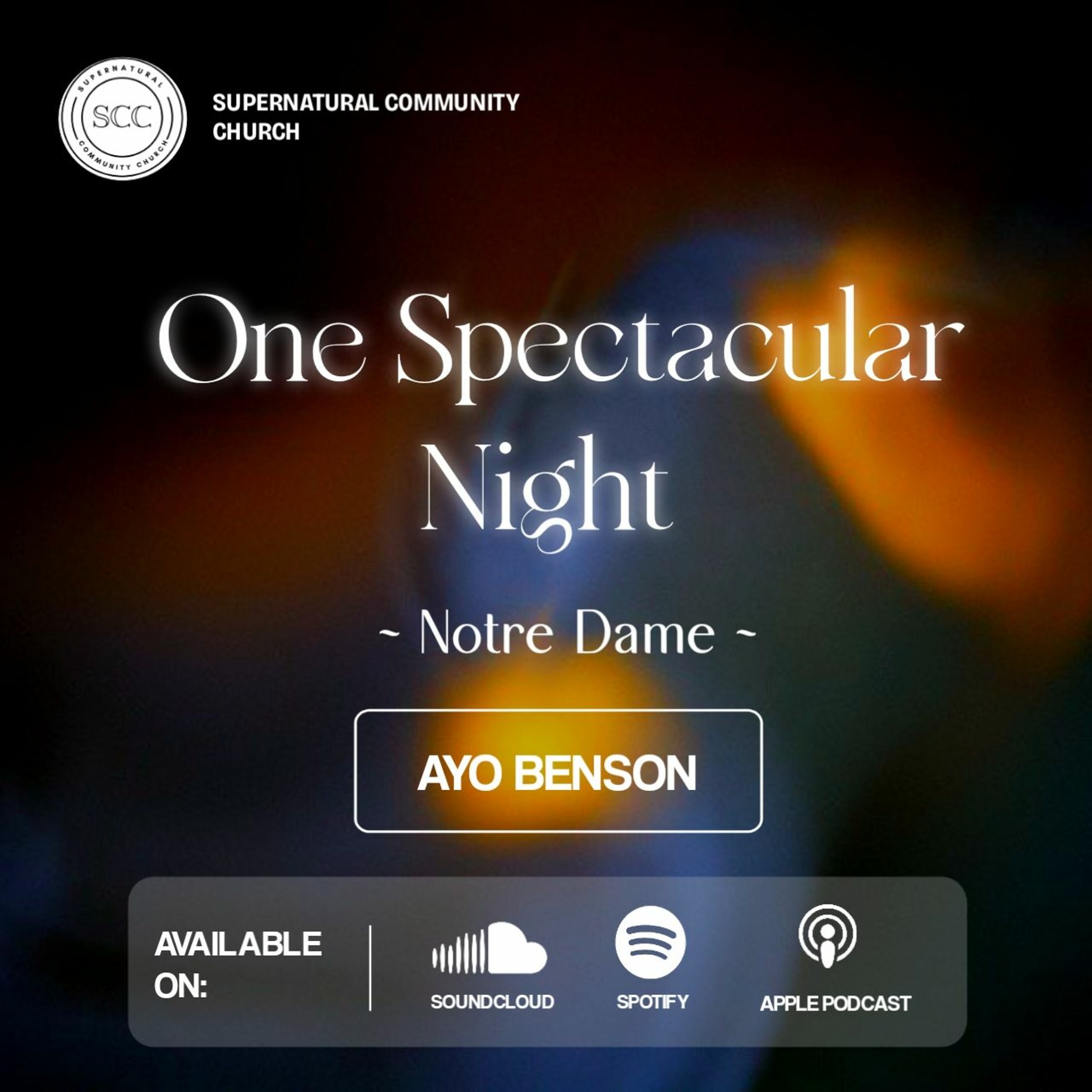 One Spectacular Night Notre Dame 2024