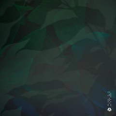 Verdance - Shore
