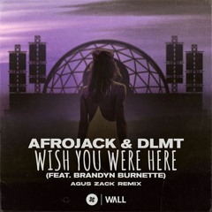 Afrojack & DLMT Ft. Brandyn Burnette - Wish You Were Here (Agus Zack Remix)
