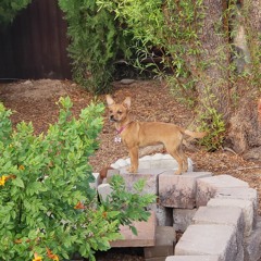 Close my Eyes (Demo)