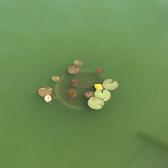 🍬 Marara @ BAR TON 25.11 (xcerpt)