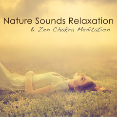 Relaxing Music (Relaxing Piano Music)