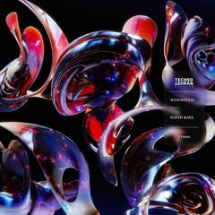Navid Kaya - Weightless