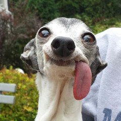 ParTi4ME