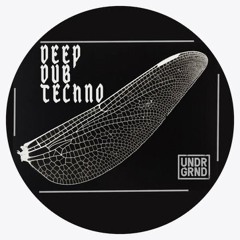 The New Wave - Dub Deep Techno