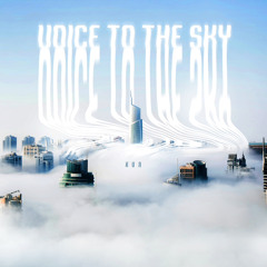 KVN - Voice To The Sky