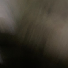 fog