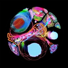 leave (quis tjrivers)